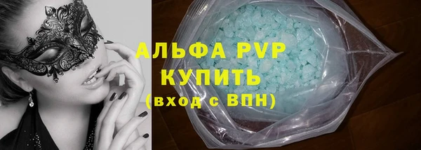 прущие грибы Навашино