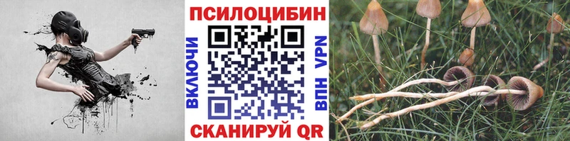 Псилоцибиновые грибы мицелий  сайты даркнета клад  Новочеркасск  что такое  